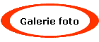 Galerie foto